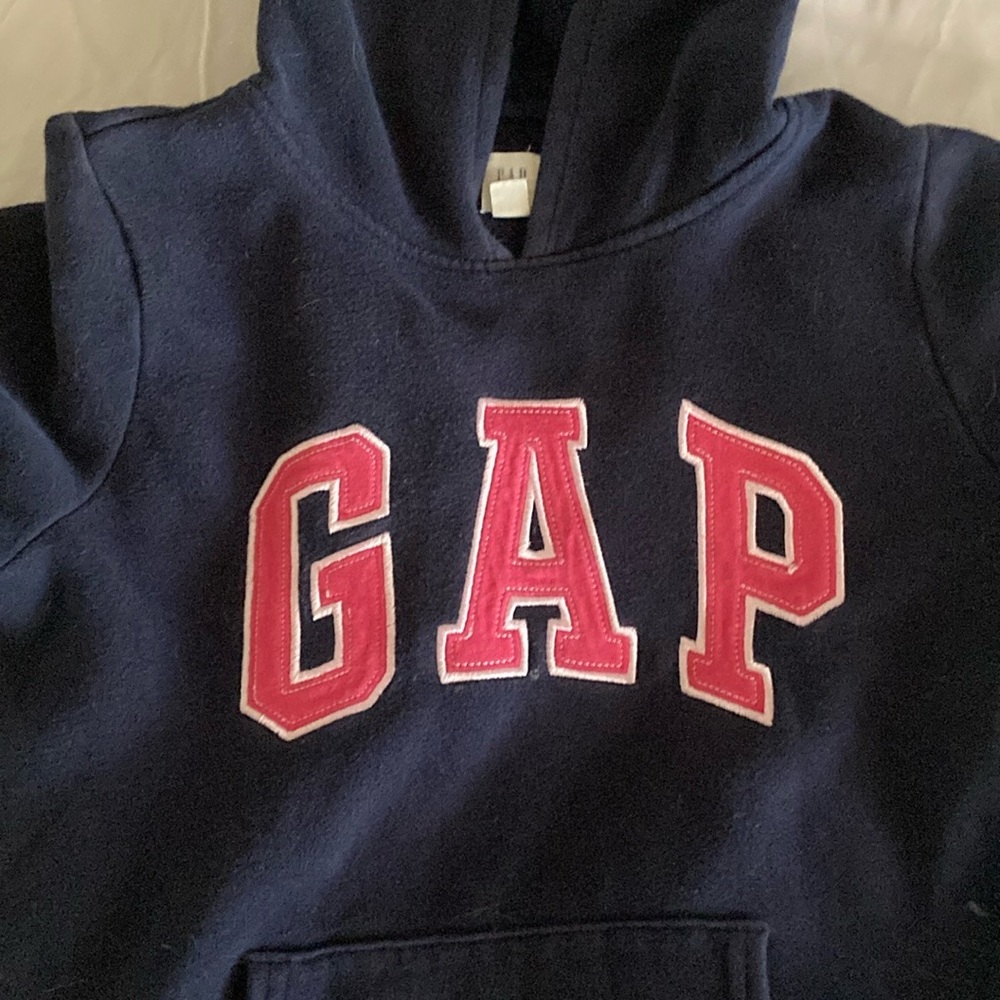 GAP Blue and pink Hooded Sweatshirt Pullover